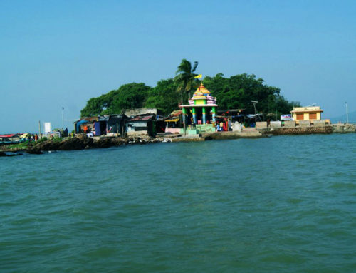 Switching To Energy Saving Bulbs